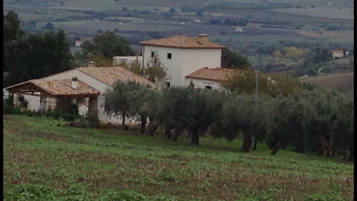 Villa Angiolina, Molise Guglionesi Zewnętrze zdjęcie